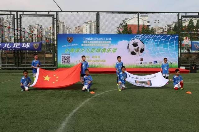 这篇文章将 这篇文章将