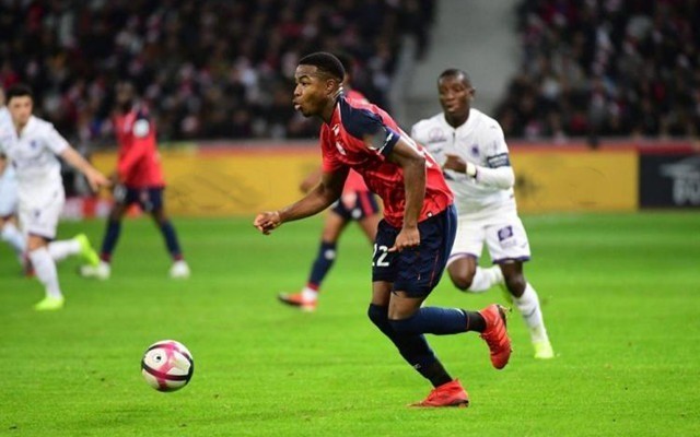 清楚地看到 清楚地看到