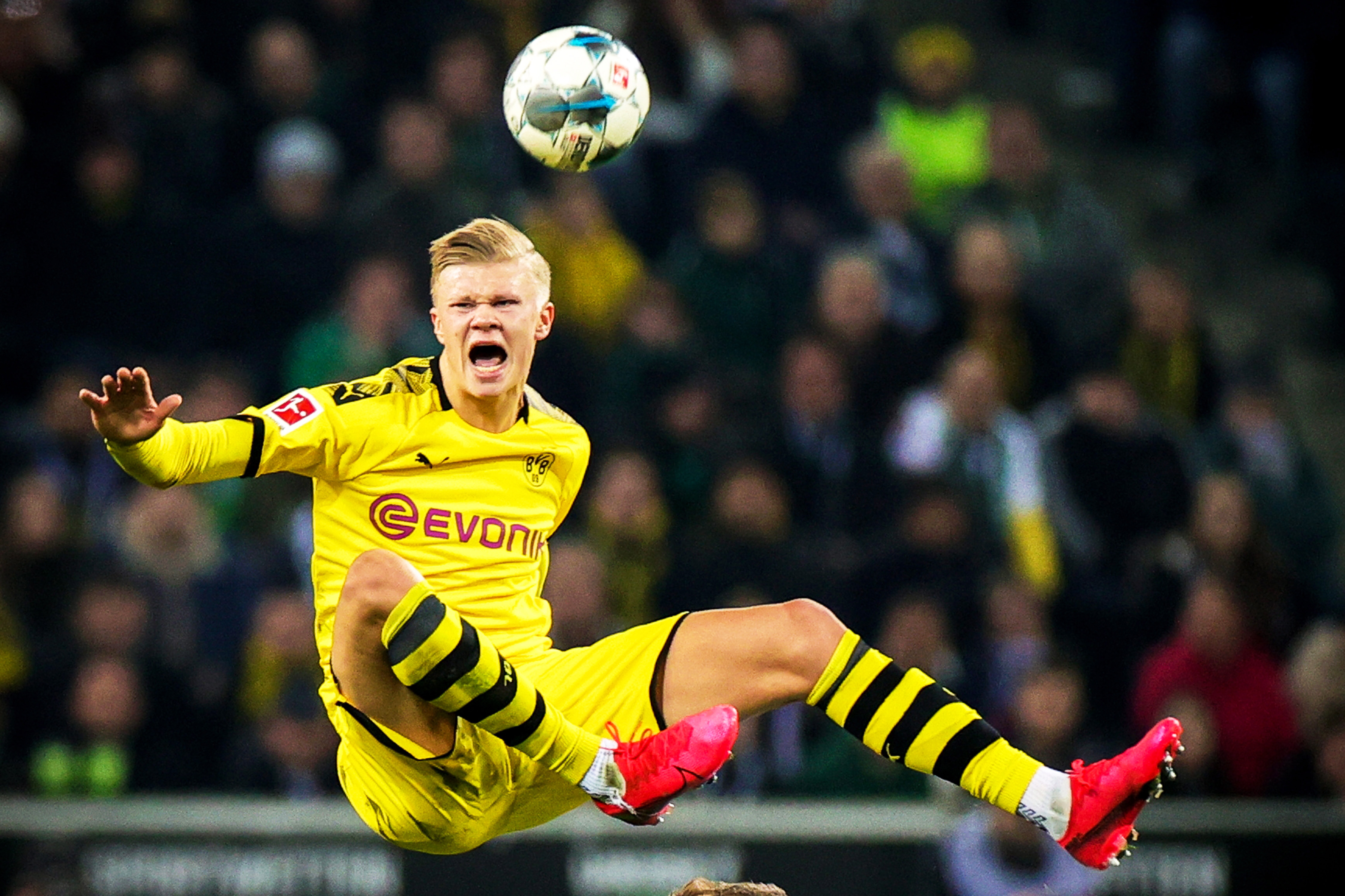 钮位的1 钮位的1